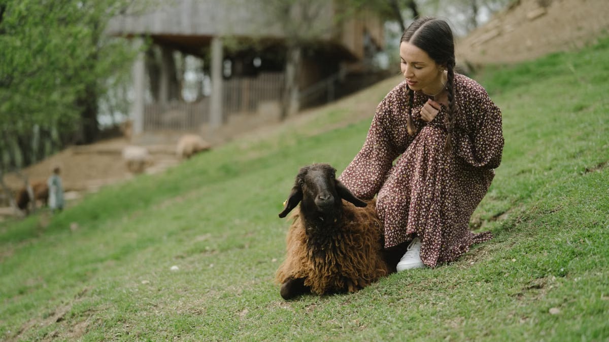 Young woman sitting beside a sheep on a green hillside, enjoying nature.